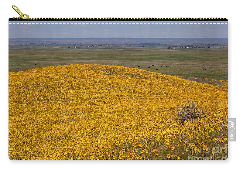 Yellow Wildflowers Zip Pouch featuring the photograph Mound of Gold by Jim Garrison