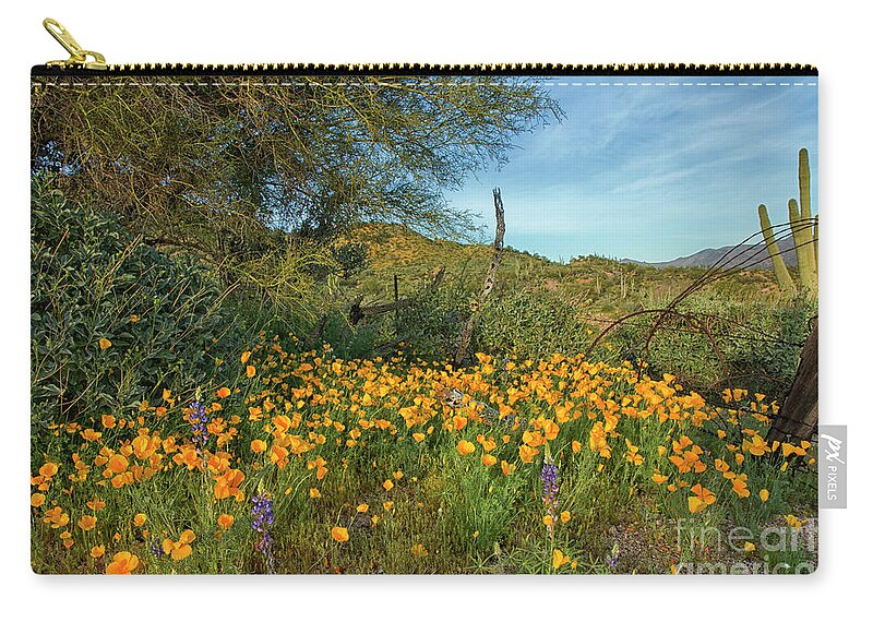 Poppies Zip Pouch featuring the photograph Poppies Abound by Tom Kelly