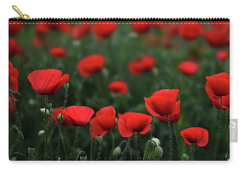 Agriculture Zip Pouch featuring the photograph Poppies by Bess Hamiti