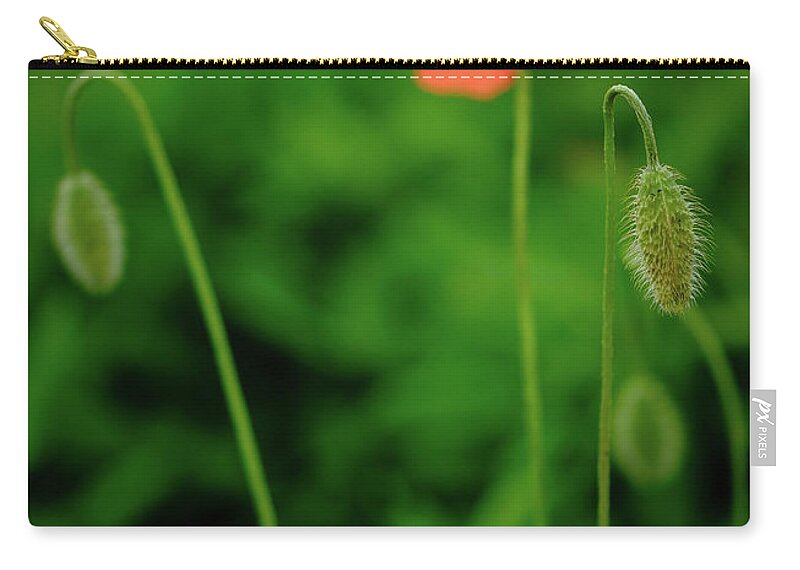 Italy Zip Pouch featuring the photograph Poppies in the Field by Georgette Grossman
