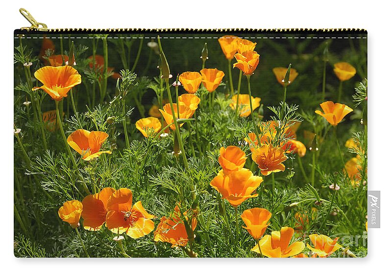 Flowers Zip Pouch featuring the photograph Poppies by Marc Bittan