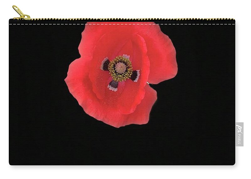 Poppy Zip Pouch featuring the photograph Popping Poppy by Maz Ghani