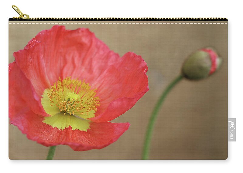 Poppy Zip Pouch featuring the photograph Poppy Bloom and Bud by Vanessa Thomas