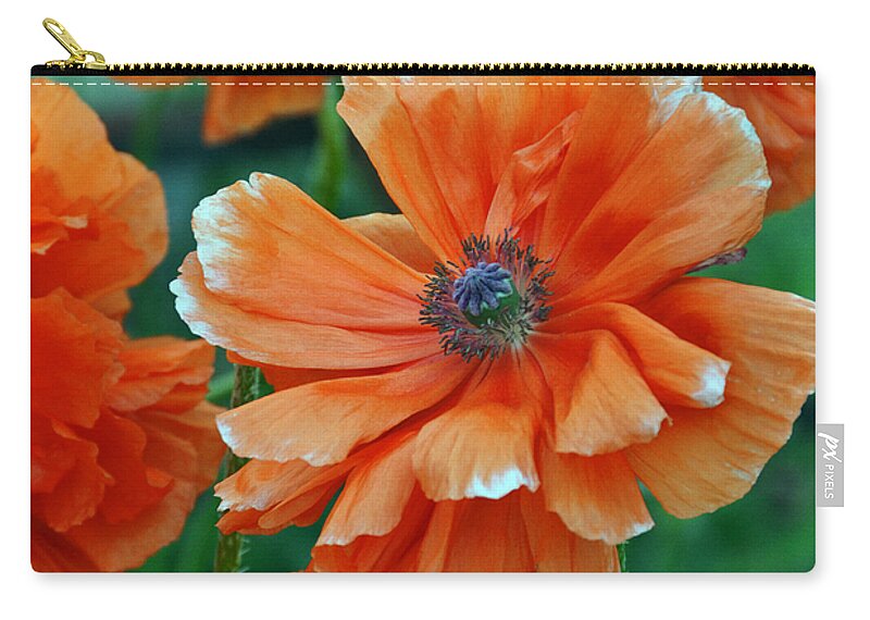 Papaver Somniferum. Opium Carry-all Pouch featuring the photograph Poppy Fields by Angelina Tamez