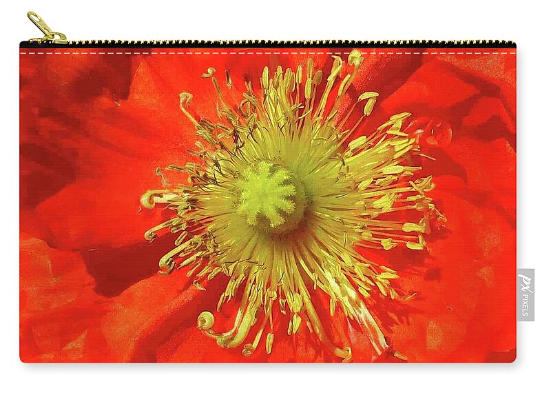 Poppy Zip Pouch featuring the photograph Poppy Glory by Barbie Corbett-Newmin