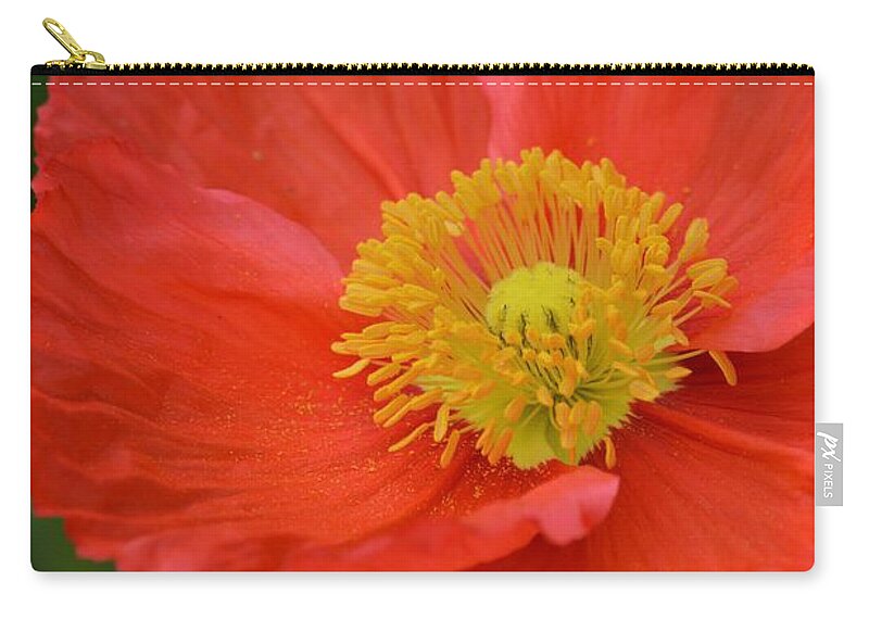 Poppy On Green Zip Pouch featuring the photograph Poppy on Green by Warren Thompson