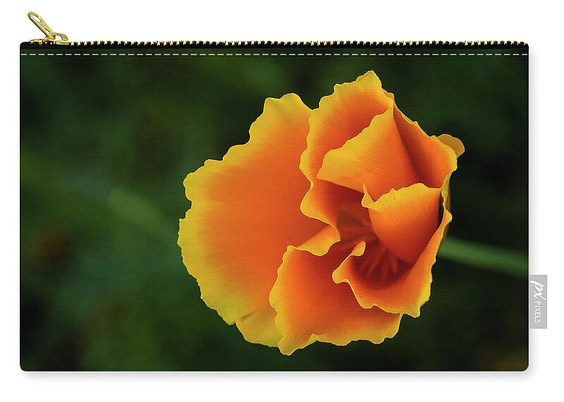 Nature Zip Pouch featuring the photograph Poppy Orange by Steven Clark