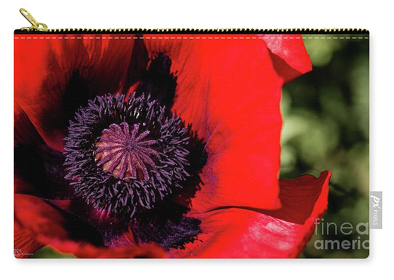 Poppy Zip Pouch featuring the photograph Poppy by Torbjorn Swenelius