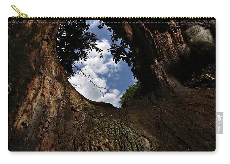 Tree Zip Pouch featuring the photograph Portal by Neil Shapiro