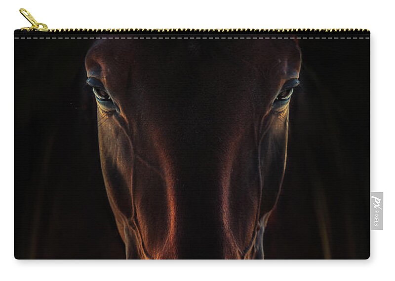 Horse Zip Pouch featuring the photograph Portrait Of A Brown Horse Close Up by Dimitar Hristov