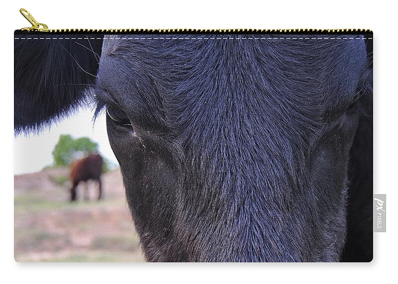 Animal Zip Pouch featuring the photograph Portrait of a Cow by Nathan Little
