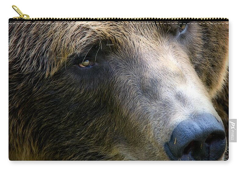 Grizzly Zip Pouch featuring the photograph Portrait of a Grizzly by Lana Trussell