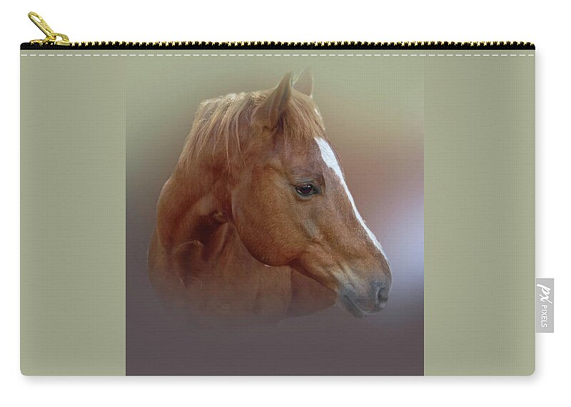 Portrait Zip Pouch featuring the photograph Portrait of a Horse by Judy Hall-Folde