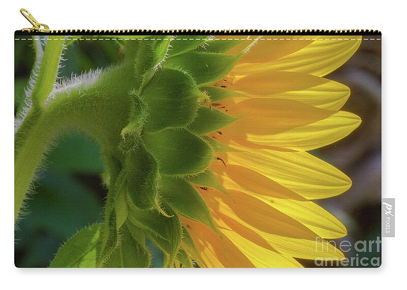 Flower Zip Pouch featuring the photograph Profile of A Sunflower by Jo Ann Gregg