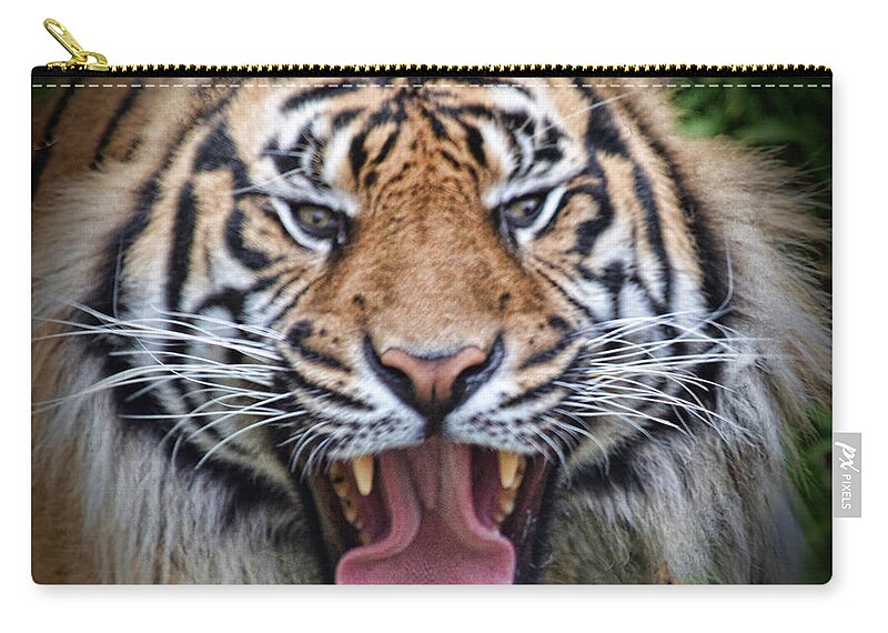 Tiger Zip Pouch featuring the photograph Portrait of a Tiger Fade to Black Version by Jim Fitzpatrick