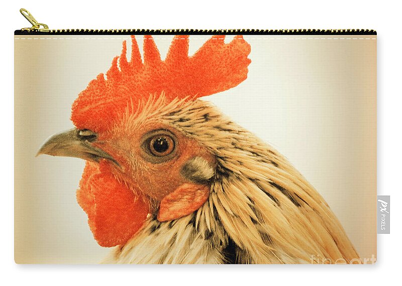 Rooster Carry-all Pouch featuring the photograph Portrait Of A Wild Rooster by Jan Gelders