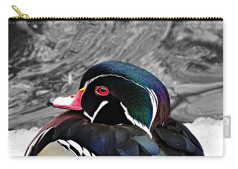 Portrait Of A Wood Duck Carry-all Pouch featuring the photograph Portrait of a Wood Duck by Dark Whimsy