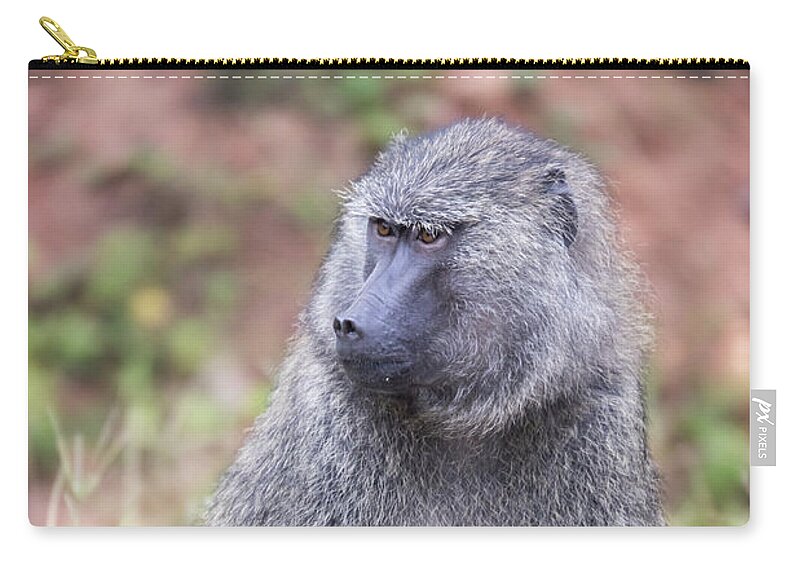 Africa Zip Pouch featuring the photograph Portrait of Common Baboon by Karen Foley