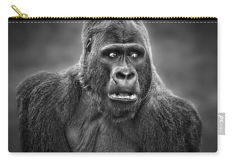 Portrait Of King Kongs Cousin Zip Pouch featuring the photograph Portrait of King Kongs Cousin III by Jim Fitzpatrick