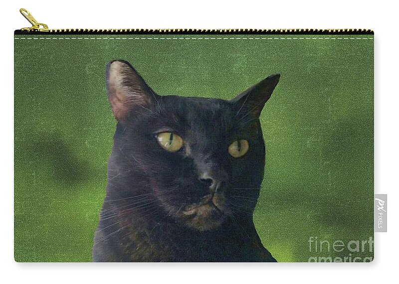 Cat Zip Pouch featuring the photograph Portrait of Salem the Cat by Janette Boyd