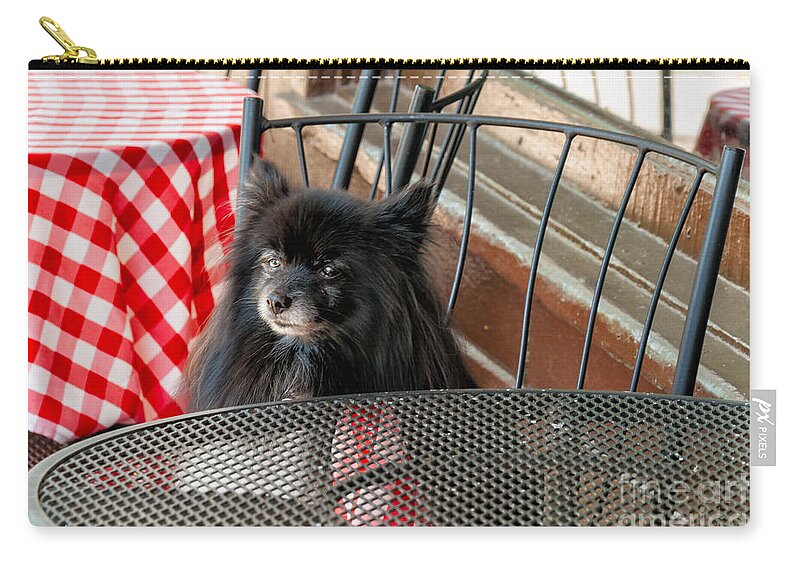  Dog Zip Pouch featuring the photograph Portrait-Waiting for Lunch 2 by Kathleen K Parker