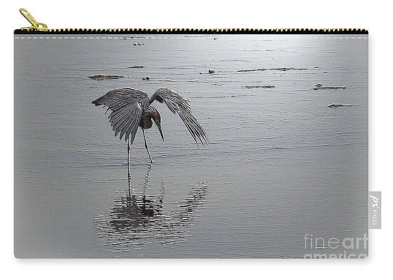 Reddish Egret Zip Pouch featuring the photograph Posed to Strike by Carol Lloyd