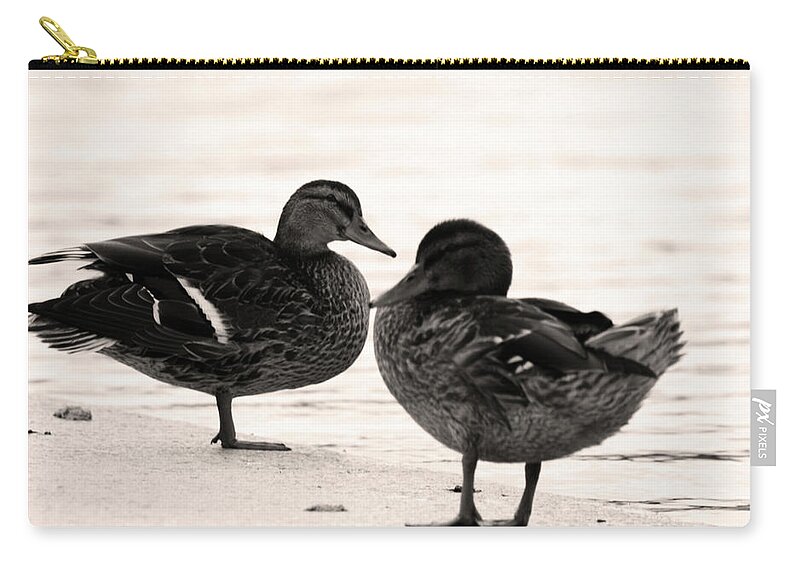 Waterfowl Zip Pouch featuring the photograph Posing by La Dolce Vita