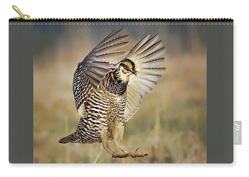 Birds Zip Pouch featuring the photograph Prairie Chicken - Booming by Nikolyn McDonald