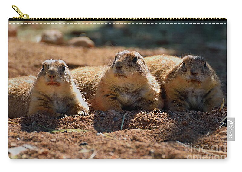 Prairie Dog Trio Carry-all Pouch by Jim Chamberlain - Pixels