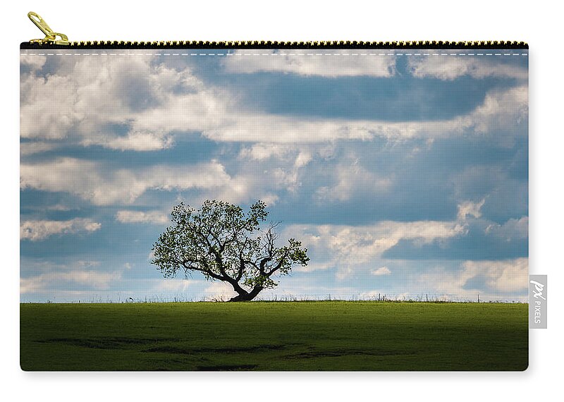 Lone Tree Zip Pouch featuring the photograph Prairie Survivor by Jeff Phillippi