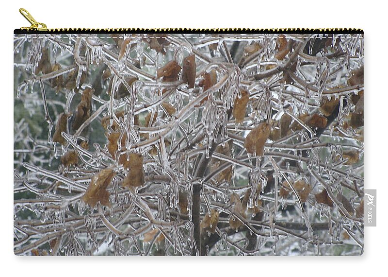Frozen Carry-all Pouch featuring the photograph Pretty as Glass by Stacie Siemsen