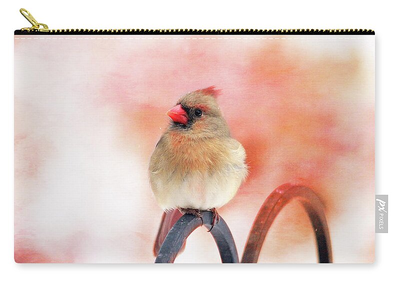 Birds Zip Pouch featuring the photograph Pretty Cardinal by Trina Ansel