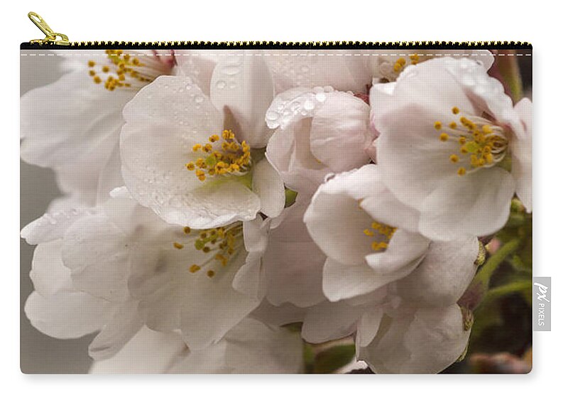 Cherry Blossom Zip Pouch featuring the photograph Pretty In Pink by Edward Kreis