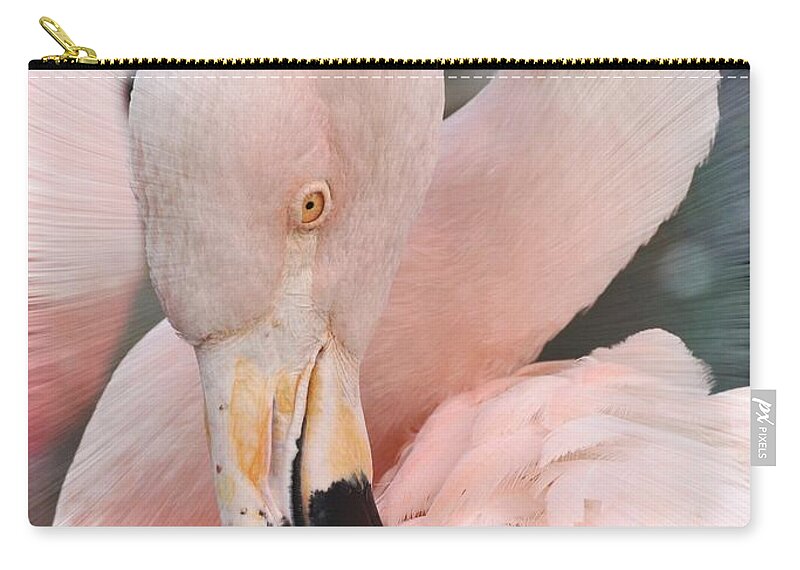 Flamingo Zip Pouch featuring the photograph Pretty In Pink by Kathy Baccari