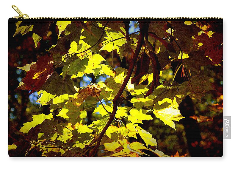 Autumn Zip Pouch featuring the photograph Pretty Nature by Milena Ilieva