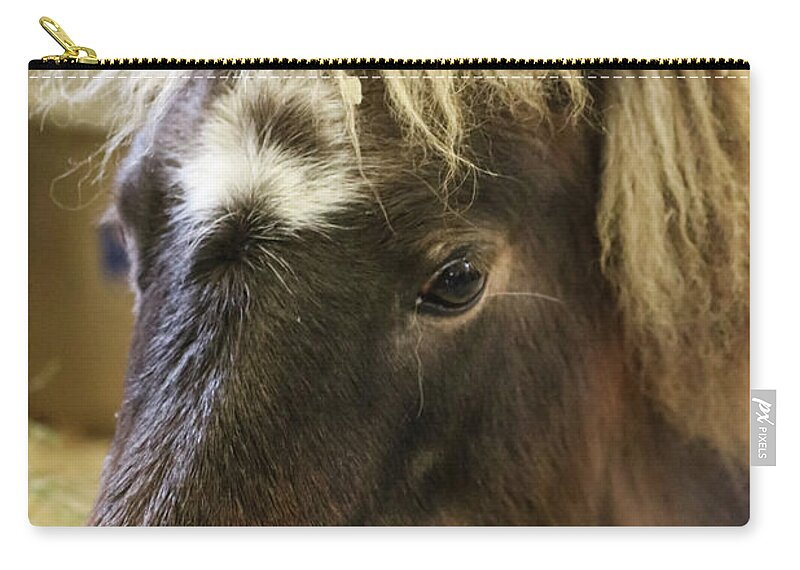 Pony Zip Pouch featuring the photograph Pretty Pony by Suzanne Luft