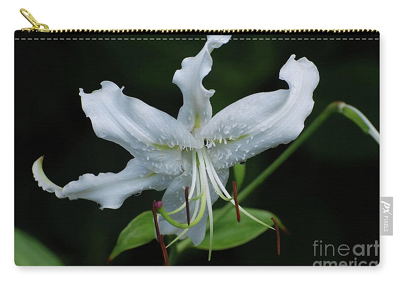 Lily Zip Pouch featuring the photograph Pretty White Stargazer Lily Flower Blossom by DejaVu Designs