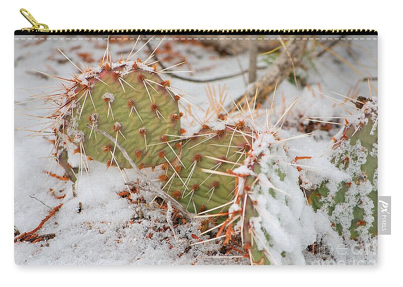 Fine Art Zip Pouch featuring the photograph Prickley Pear Cactus by Donna Greene