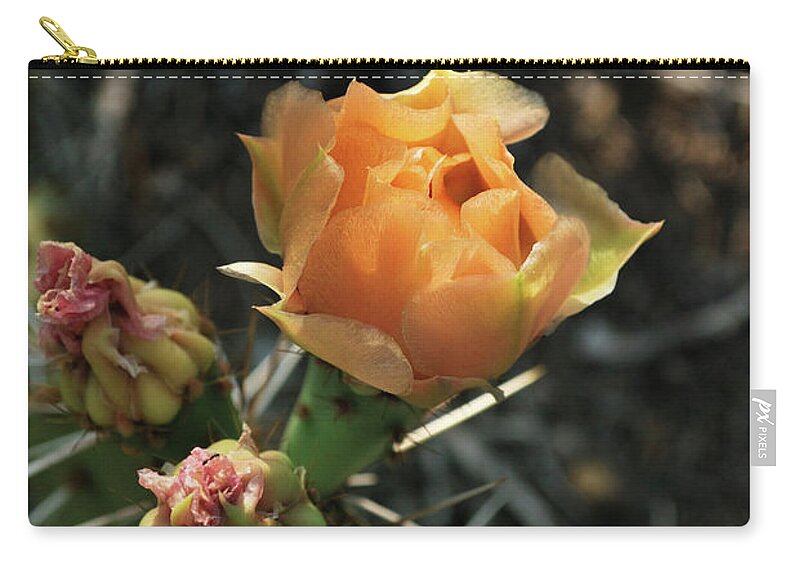 Nature Zip Pouch featuring the photograph Prickly Pear Blossom by Ron Cline