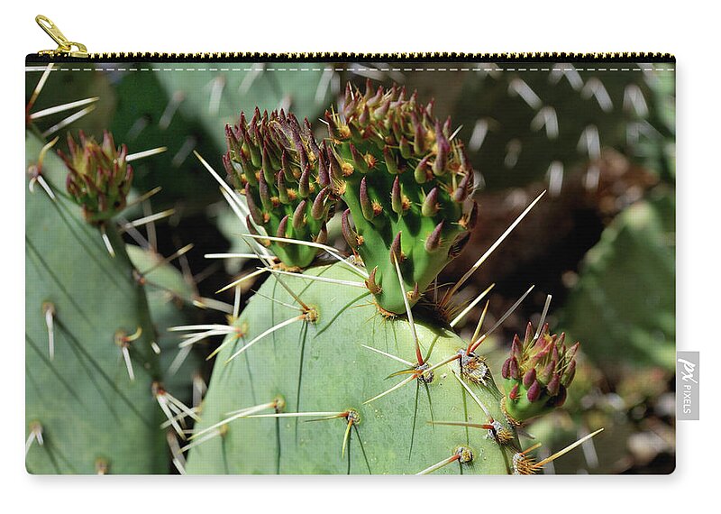 Nature Zip Pouch featuring the photograph Prickly Pear Buds by Ron Cline