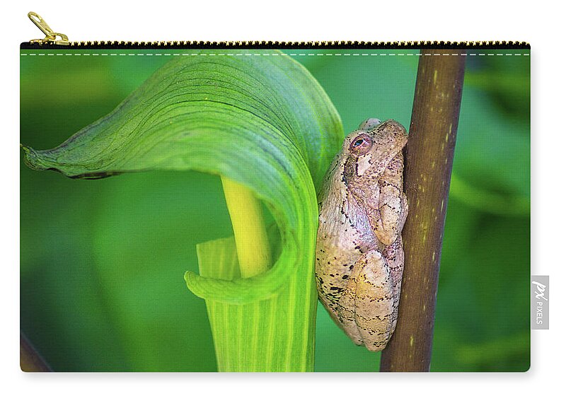 Bill Pevlor Zip Pouch featuring the photograph Prince of the Pulpit by Bill Pevlor