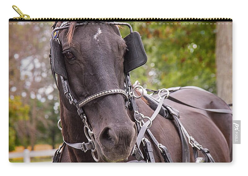 Equestrienne Zip Pouch featuring the photograph Prince Sagenfurst by Sharon McConnell
