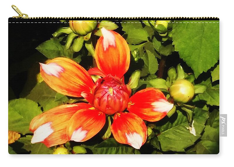Texture Zip Pouch featuring the photograph Printed Dahlia by Nilu Mishra