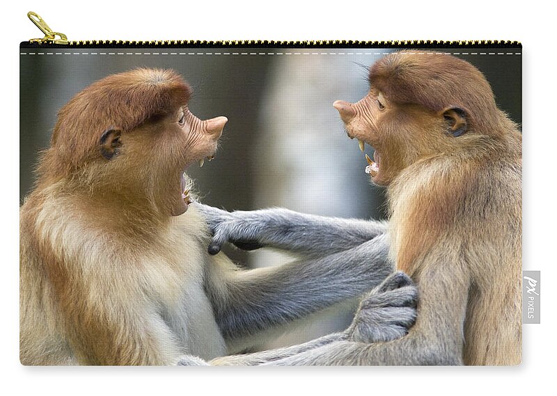 00479370 Zip Pouch featuring the photograph Proboscis Monkey Males Play Fighting by Suzi Eszterhas