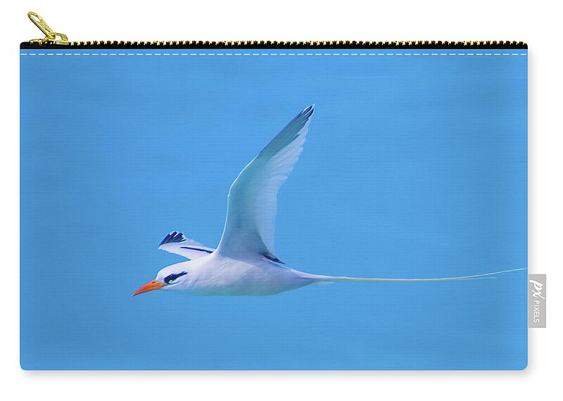 2018 Zip Pouch featuring the photograph Profile Fly-by by Jeff at JSJ Photography