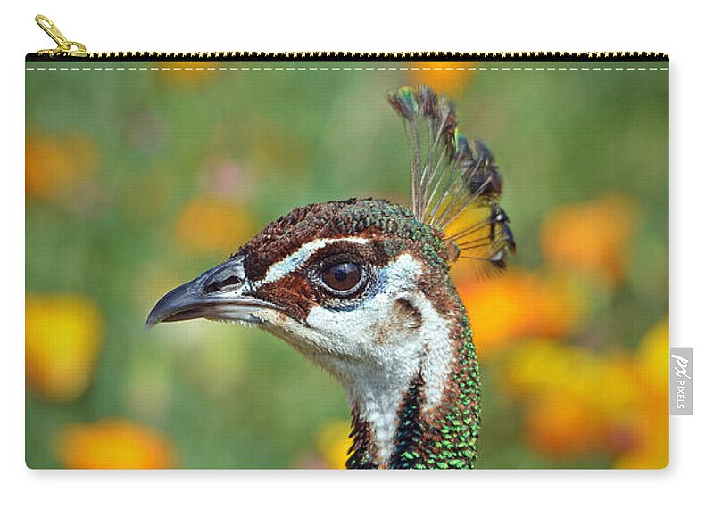 Peacock Zip Pouch featuring the photograph Profile Portrait of a Peacock by Jim Fitzpatrick