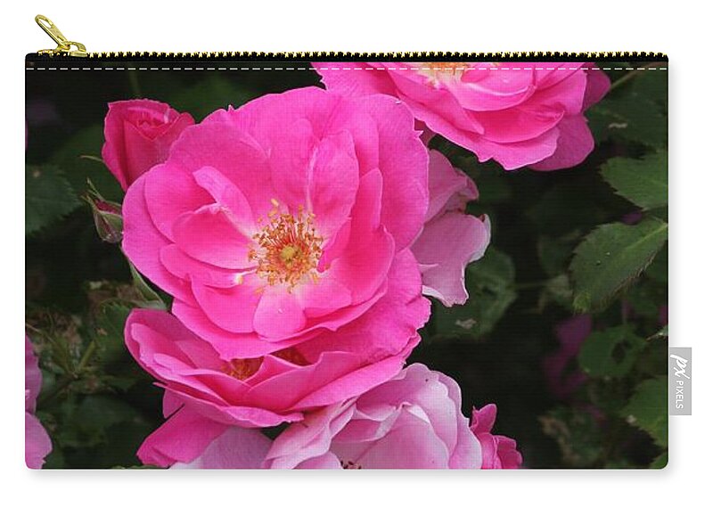 Rose Zip Pouch featuring the photograph Profusion of pink by Doris Potter