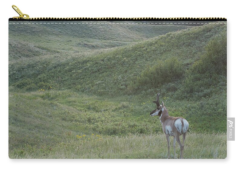 Natanson Zip Pouch featuring the photograph Pronghorn First Light by Steven Natanson
