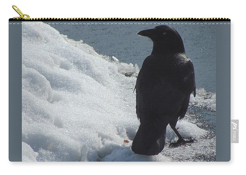  Zip Pouch featuring the photograph Proud Crow by Betty Pieper