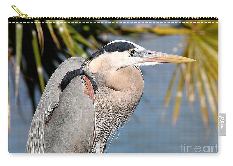 Heron Zip Pouch featuring the photograph Proud Great Blue Heron by Carol Groenen